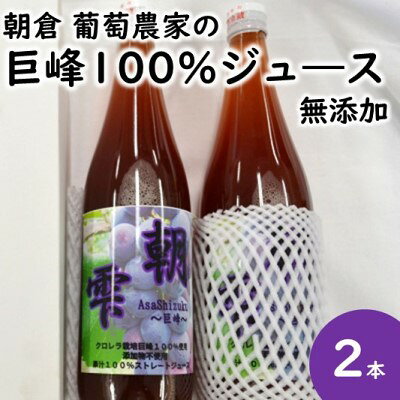 葡萄 農家『信ちゃん果樹園』巨峰 100％ ジュース 2本 果汁飲料 野菜飲料 ぶどうジュース ブドウ お届け：2022年10月20日～2023年3月25日