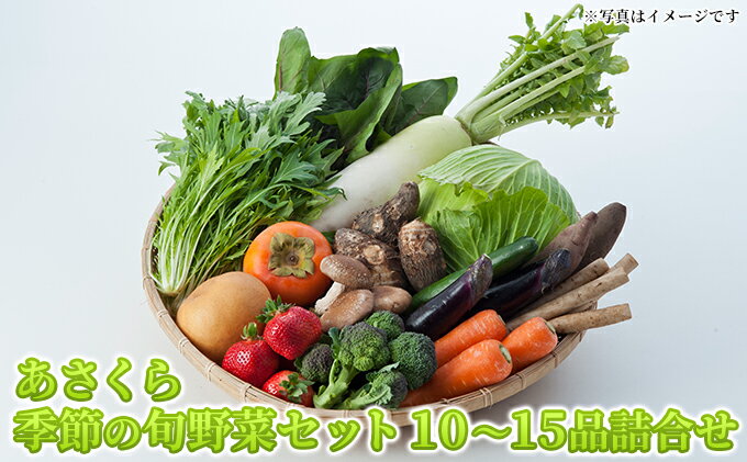 【ふるさと納税】野菜セット おまかせ 10～15種 旬 朝倉市産 配送不可 離島　【野菜・セット・詰合せ】