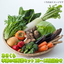 【ふるさと納税】野菜セット おまかせ 10～15種 旬 朝倉市産 配送不可 離島　【野菜・セット・詰合せ】