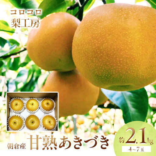 【ふるさと納税】梨 あきづき まるで食べる梨ジュース!!甘熟 あきづき梨 約2.1kg 4~7玉入 配送不可 離島 ナシ 果物 フルーツ 先行予約 お届け:2025年9月1日~9月30日 【ふるさと納税】梨 あきづき まるで食べる梨ジュース!!甘熟 あきづき梨 約2.1kg 4~7玉入 配送不可 離島 ナシ 果物 フルーツ 先行予約 お届け:2025年9月1日~9月30日