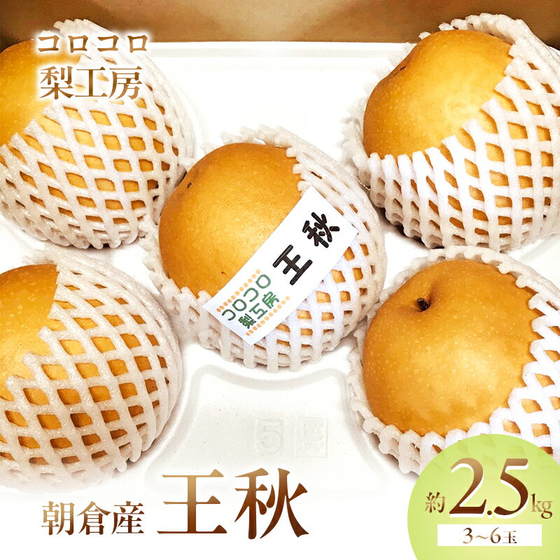 【ふるさと納税】梨 王秋梨 まるで食べる梨ジュース!!約2.5kg 3~6玉入 ナシ 果物 フルーツ 先行予約 お届け:2025年10月10日~11月10日