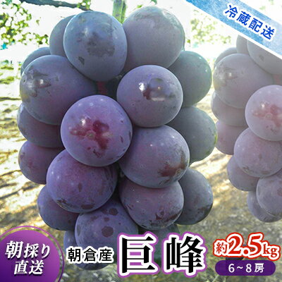 巨峰 2024年発送 約2.5kg 旬菜板屋 配送不可 離島　　お届け：2024年8月中旬～9月下旬