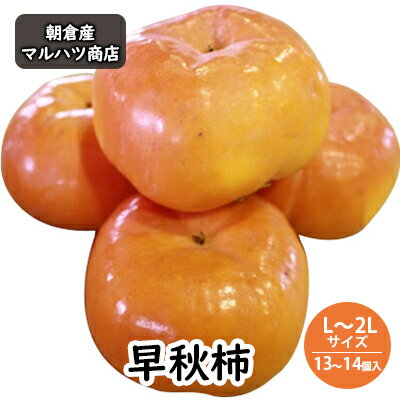 【ふるさと納税】柿 早秋柿 L～2Lサイズ×13～14個入 マルハツ商店 配送不可：離島 果物類 かき 　お届け：2024年9月中旬～9月下旬のサムネイル