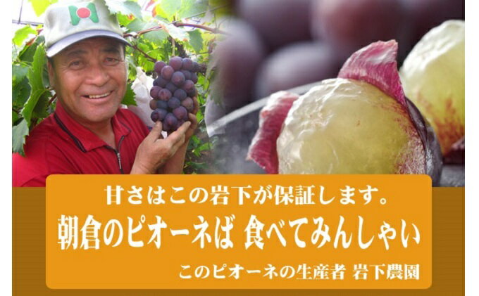 サンプル画像3