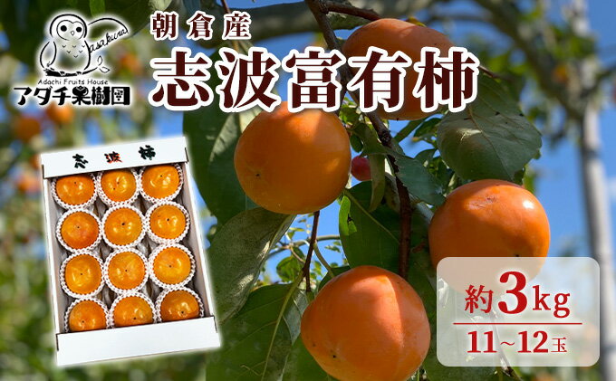 【ふるさと納税】柿 志波 富有柿 約3kg 11～12玉 果物類 かき 　お届け：2025年11月上旬～12月中旬