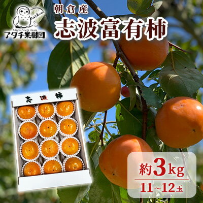 【ふるさと納税】柿 志波 富有柿 約3kg 11～12玉 果物類 かき 　お届け：2025年11月上旬～12月中旬