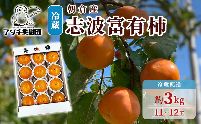 【ふるさと納税】柿 志波 富有柿 冷蔵 約3kg 11～12玉 配送不可 離島 果物類 かき 　お届け：2025年12月中旬～2026年1月31日