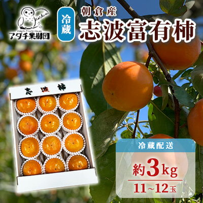【ふるさと納税】柿 志波 富有柿 冷蔵 約3kg 11~12玉 配送不可 離島 果物類 かき お届け:2025年12月中旬~2026年1月31日