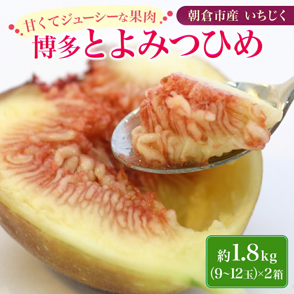 【ふるさと納税】いちじく 2024年発送 博多 とよみつひめ 1.8kg 柔らかな食感 最高レベルの糖度 あふれる果汁 筑前あ…