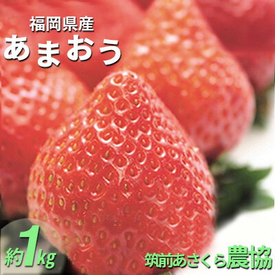 55位! 口コミ数「1件」評価「4」いちご あまおう 福岡県産 約1kg 250g×4パック 筑前あさくら農協 配送不可 離島　【果物類・いちご・苺・イチゴ】　お届け：2025･･･ 