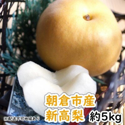 【ふるさと納税】「先行予約」朝倉市産 新高 梨 5kg 6〜12玉 9月中旬より順次出荷お届け：2023年9月20日〜10月31日　【 九州の梨 天然の甘み 安心 安全 お歳暮 ギフト 梨 ナシ 果物 フルーツ 先行予約 】　お届け：2023年9月20日〜10月31日のサムネイル