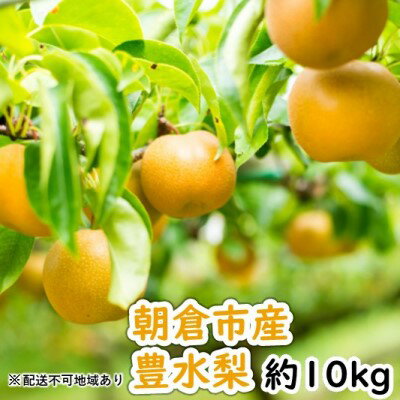 【ふるさと納税】「先行予約」朝倉市産 豊水 梨 10kg 20～40玉 8月初旬より順次出荷お届け：2023年8月1日～8月31日　【 梨 ナシ 果物 フルーツ 先行予約 子供 おやつ くだもの 】　お届け：2023年8月1日～8月31日のサムネイル