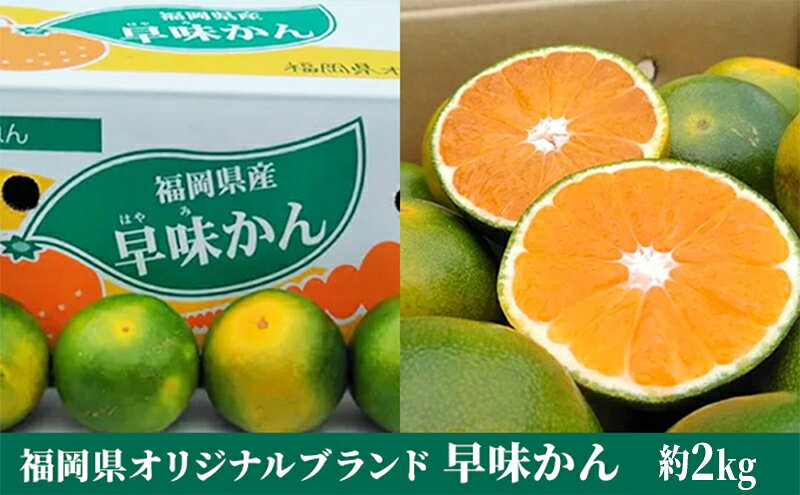 【ふるさと納税】福岡限定 オリジナルブランド みかん「早味かん」約2kg【配送不可：離島】 果物類 柑橘類 フルーツ 　お届け：2026年9月中旬～下旬にかけて順次発送