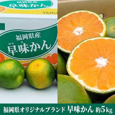 【ふるさと納税】福岡限定 オリジナルブランド みかん「早味かん」約4kg【配送不可:離島】 果物類 柑橘類 フルーツ お届け:2025年9月中旬~下旬にかけて順次発送 【ふるさと納税】福岡限定 オリジナルブランド みかん「早味かん」約4kg【配送不可:離島】 果物類 柑橘類 フルーツ お届け:2025年9月中旬~下旬にかけて順次発送