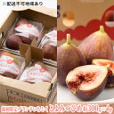 【ふるさと納税】いちじく とよみつひめ 福岡限定 ブランド 約300g×4パック 配送不可 北海道 東北 沖縄 離島 果物詰合せ フルーツ お届け:2025年...