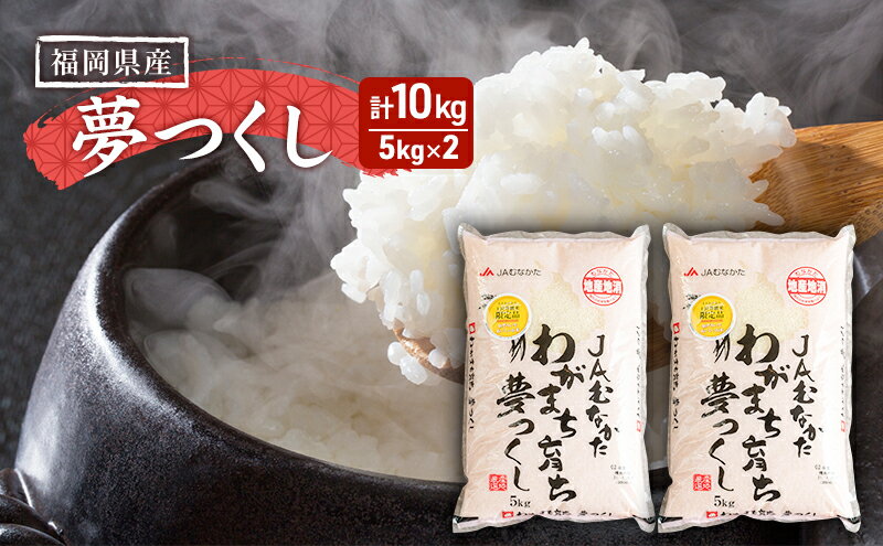 【ふるさと納税】果物屋さんの夢つくし（米）5kg×2袋【配送不可：離島】　【お米】