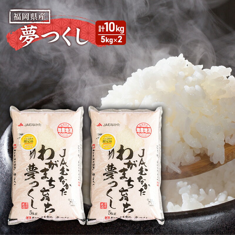 【ふるさと納税】果物屋さんの夢つくし（米）5kg×2袋【配送不可：離島】　【お米】