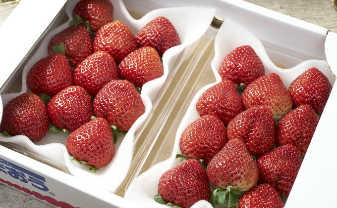 【ふるさと納税】いちご あまおう 6パック 1Pあたり約250g 福岡のいちご！苺 本来...