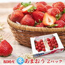 【ふるさと納税】いちご あまおう 2パック 1Pあたり約250g以上 福岡のいちご 苺 本来の酸味と甘み 冬 配送不可 離島 果物類 イチゴ  お届け:2025年12月上旬~2026年1月末にかけて順次発送