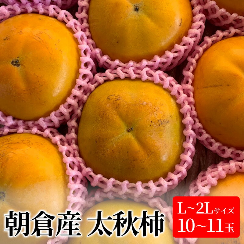 【ふるさと納税】柿 太秋柿 L〜2Lサイズ 10〜11玉入 かき カキ 果物 くだもの フルーツ　【朝倉市】　お届け：2023年10月上旬〜10月下旬のサムネイル