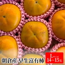 【ふるさと納税】柿 富有柿 早生 Lサイズ 14~15玉入 かき カキ 果物 くだもの フルーツ  お届け:2025年10月25日~11月15日