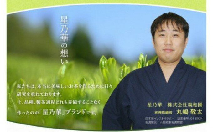【ふるさと納税】八女茶 訳あり品 深蒸し茶 1100g（100g×11袋） お茶 緑茶 健康 甘味 グリーンティー
