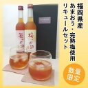 【ふるさと納税】【数量限定】濃いめのお酒 飲み比べ 500ml×2本セット(苺のお酒/梅のお酒) 洋酒 リキュール