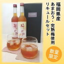 30位! 口コミ数「0件」評価「0」【数量限定】濃いめのお酒 飲み比べ 500ml×2本セット（苺のお酒/梅のお酒）　【お酒・洋酒・リキュール】