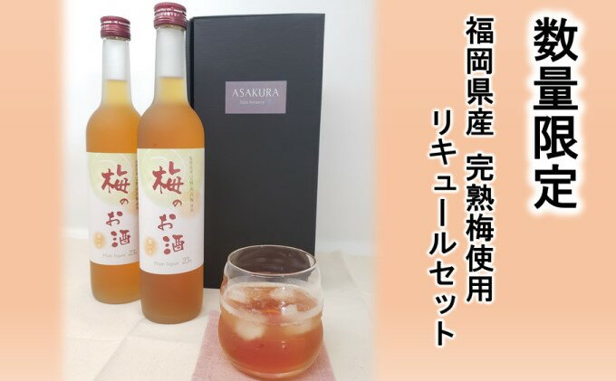 【ふるさと納税】【数量限定】梅のお酒 500ml×2本セット　【お酒・洋酒・リキュール】