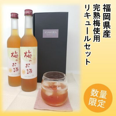 【ふるさと納税】【数量限定】梅のお酒 500ml×2本セット　【お酒・洋酒・リキュール】