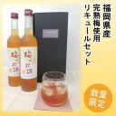【ふるさと納税】【数量限定】梅のお酒 500ml×2本セット 洋酒 リキュール