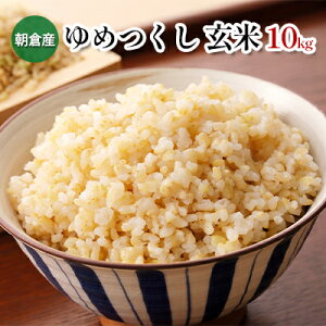 【ふるさと納税】米 10kg 玄米 ゆめつくし　【玄米・お米】