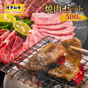 【ふるさと納税】博多 和牛 焼肉 セット 500g A4〜A5 配送不可：離島　【焼肉・バーベキュー・お肉・牛肉・バラ(カルビ)・ロース】　お届け：入金確認後2週間〜1カ月。