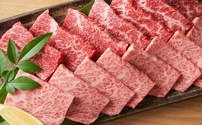 【ふるさと納税】博多 和牛 焼肉 セット 500g A4～A5 配送不可：離島 バーベキュー お肉 牛肉 バラ(カルビ) ロース 　お届け：入金確認後2週間～1カ月。 f402281-asakura-10001975 福岡県朝倉市 サンプル画像3
