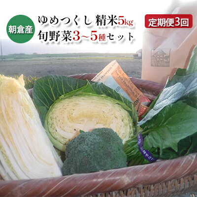 定期便 3回 米 5kg 季節野菜 セット 精米 ゆめつくし [定期便・お米・野菜・セット・詰合せ・上白米・低温保存米・お野菜セット・精米]