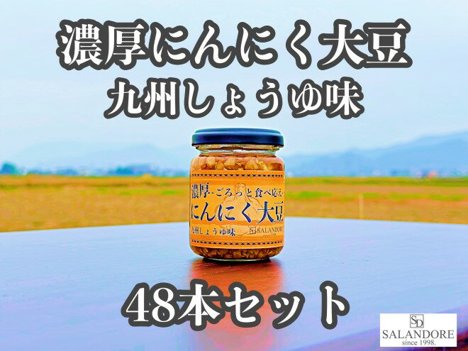 【ふるさと納税】濃厚にんにく大豆_九州しょうゆ味_48本セット 加工食品 豆類 大豆ミート 独自製法 高たんぱく 食物繊維 ミネラル ビタミン オリジナルの味付け プレーン