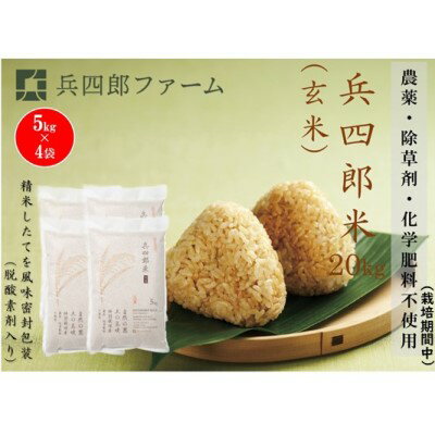 【ふるさと納税】【栽培期間中 農薬・化学肥料不使用】兵四郎米 20kg(玄米) お米