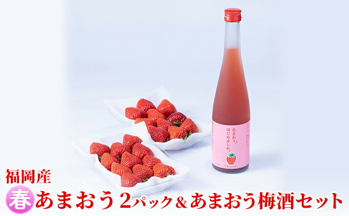 【ふるさと納税】いちご あまおう 2パック 春 ＆あまおう梅酒 あまおうはじめました。 500ml×1本セット 配送不可 離島 お酒 アルコール 苺 フルーツ 飲み会 甘いお酒 宅飲み 果物 詰め合わせ 　お届け：2026年2月上旬～2026年3月末にかけて順次発送