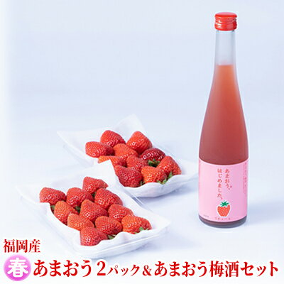 【ふるさと納税】いちご あまおう 2パック 春 &あまおう梅酒 あまおうはじめました。 500ml×1本セット 配送不可 離島 お酒 アルコール 苺 フルーツ 飲み会 甘いお酒 宅飲み 果物 詰め合わせ お届け:2026年2月上旬~2026年3月末にかけて順次発送 【ふるさと納税】いちご あまおう 2パック 春 &あまおう梅酒 あまおうはじめました。 500ml×1本セット 配送不可 離島 お酒 アルコール 苺 フルーツ 飲み会 甘いお酒 宅飲み 果物 詰め合わせ お届け:2026年2月上旬~2026年3月末にかけて順次発送