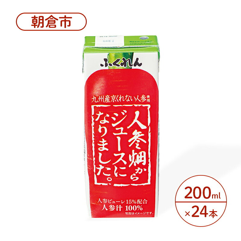 【ふるさと納税】にんじんジュース【人参畑からジュースになりました。】人参汁100％ 200ml×24本　【 野菜 ジュース 飲み物 ソフトドリンク キャロット 野菜不足 九州産京くれない人参 リコピン 】