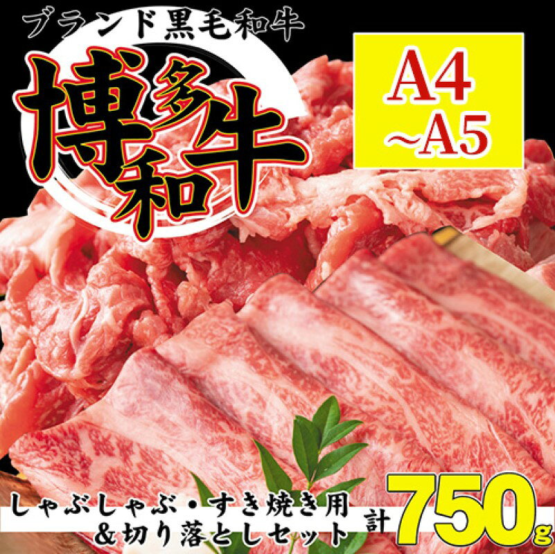 【ふるさと納税】博多和牛 A4～A5 しゃぶしゃぶ すき焼き 750g セット（スライス 2...