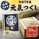 米 10kg 令和5年産 元気つくし 福岡県産 お米　　お届け：～2024年9月30日　※配送に1ヶ月程度掛かる場合がございます。