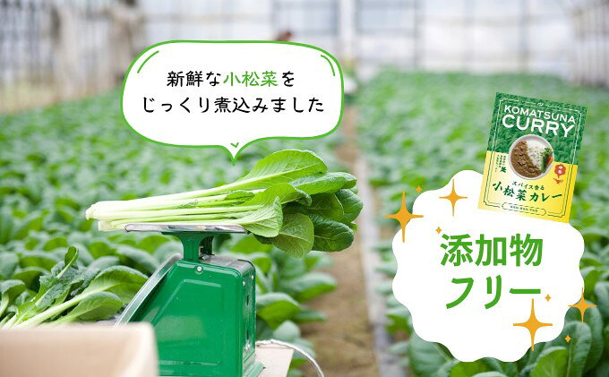 【ふるさと納税】小松菜カレー 4個 加工食品 惣菜 レトルト f402281-asakura-10002192 福岡県朝倉市 サンプル画像2