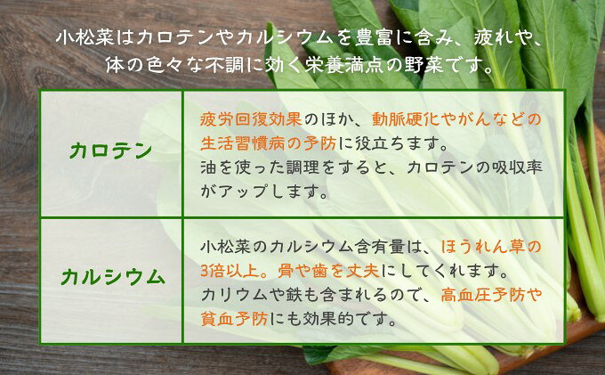 【ふるさと納税】小松菜カレー 4個 加工食品 惣菜 レトルト f402281-asakura-10002192 福岡県朝倉市 サンプル画像3