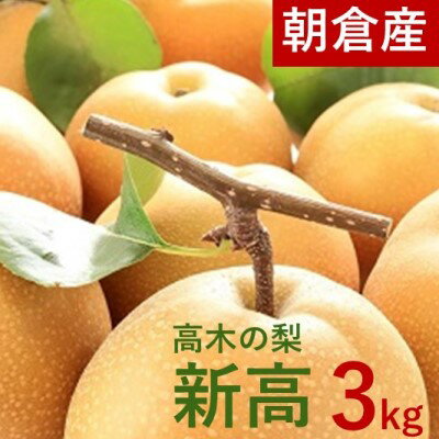 【ふるさと納税】高木の梨 新高 3kg（3玉）　【 フルーツ 果物 デザート 食後 おやつ 糖度13度 秋の味覚 秋のフルーツ 福岡県産 朝倉市産 】　お届け：2022年9月下旬～10月中旬のサムネイル