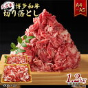 46位! 口コミ数「2件」評価「2」博多和牛 大容量 切り落とし 1.2kg（600g×2p）1200g A4～A5 配送不可：離島　【朝倉市】　お届け：入金確認後2週間～1カ･･･ 