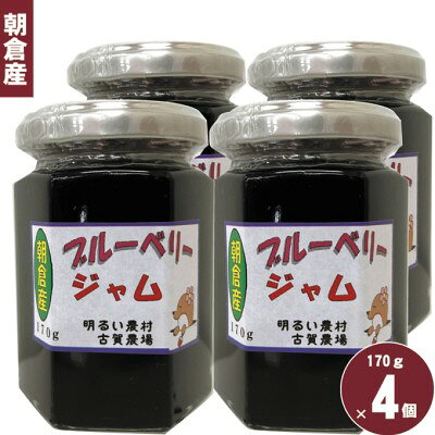ブルーベリージャム 170g×4個 ヨーグルト 美味しい お通じ 目に優しい セット 詰合せ トッピング お届け：2022年12月1日～2023年6月30日