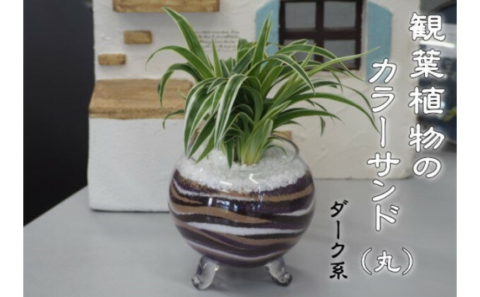 【ふるさと納税】カラーサンド（ガラス花器：丸）ダーク系 植物 インテリア 飾り 緑 グリーン 部屋 玄関 キッチン 洗面所 丸型 グリーンインテリア
