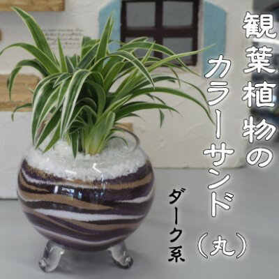 カラーサンド(ガラス花器:丸)ダーク系 植物 インテリア 飾り 緑 グリーン 部屋 玄関 キッチン 洗面所 丸型 グリーンインテリア