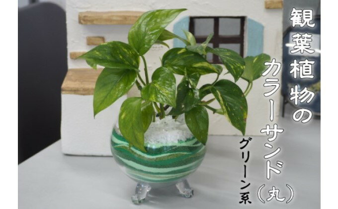 【ふるさと納税】カラーサンド（ガラス花器：丸）グリーン系　【 植物 インテリア 飾り 緑 部屋 玄関 キッチン 洗面所 丸型 ガラス花器 グリーンインテリア 寄せ植え 】